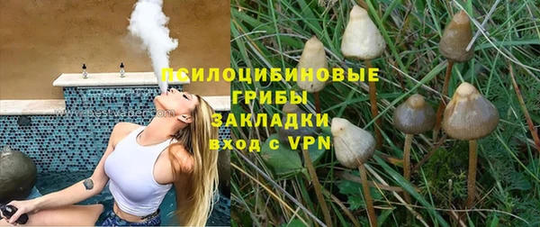 шишки Аркадак