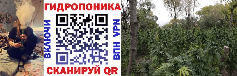 Марихуана семена  МЕГА онион  Грязи 